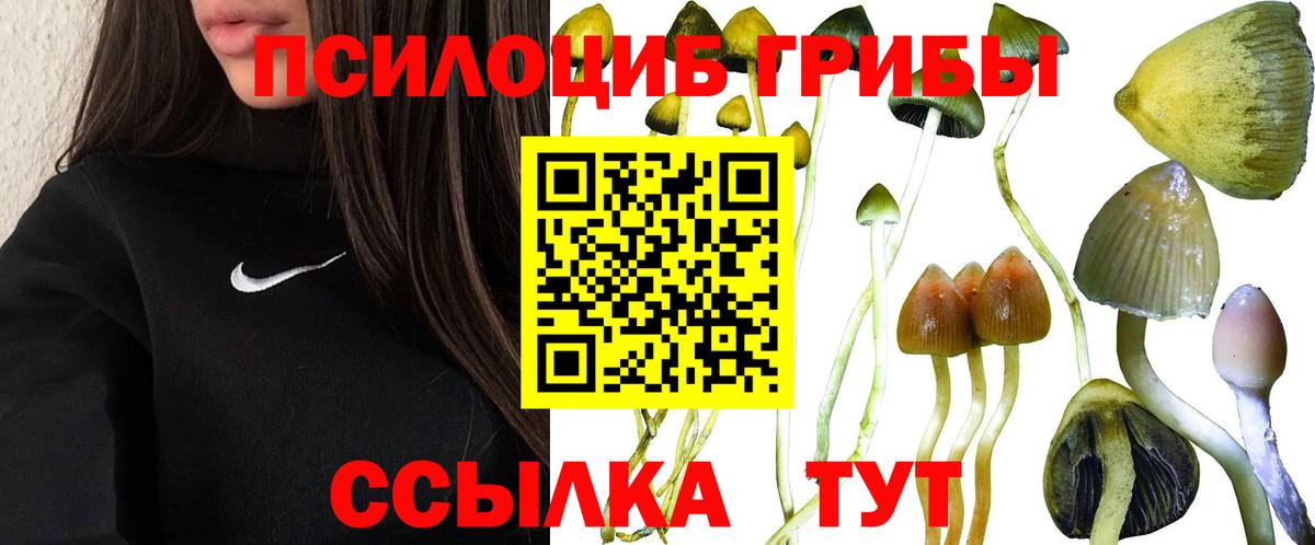 Пушкино  Галлюциногенные грибы MAGIC MUSHROOMS  Вход с VPN 